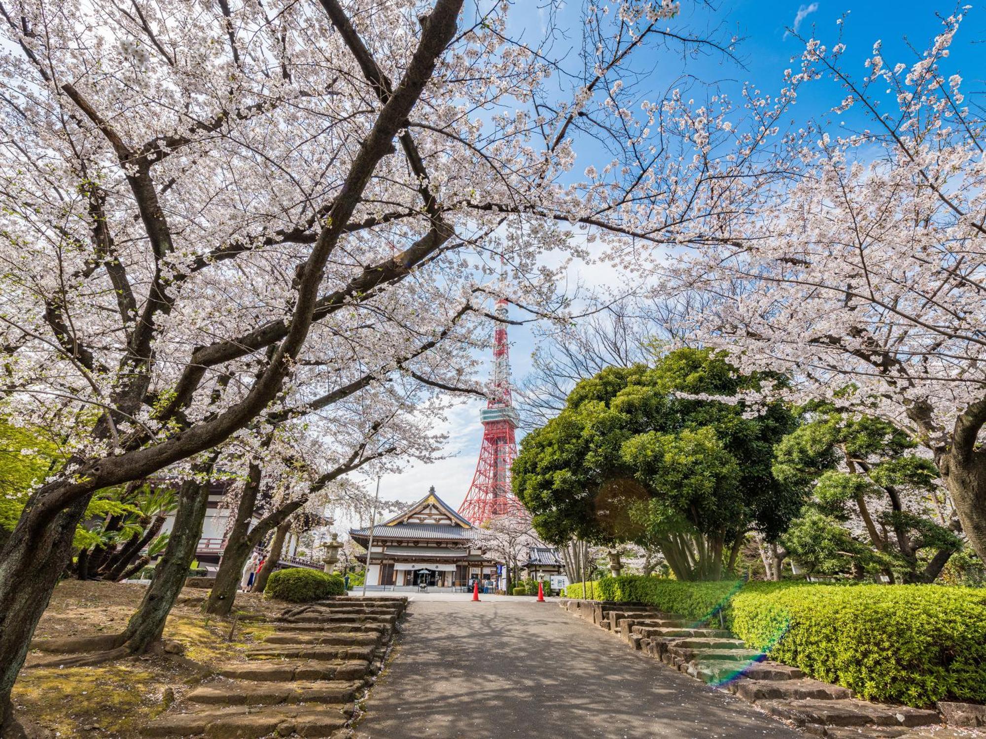Illi Surp Shiba-Park Tóquio Exterior foto
